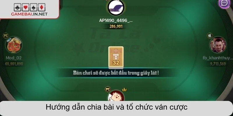 Hướng dẫn chia bài và tổ chức ván cược